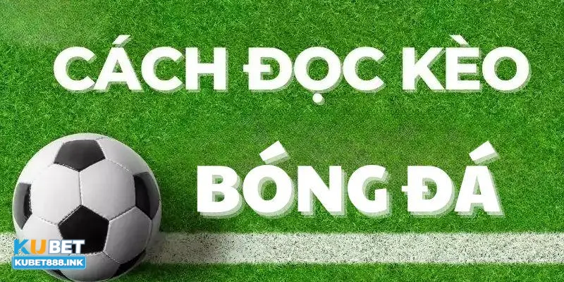Cách đọc và phân tích thông tin để chọn kèo chính xác