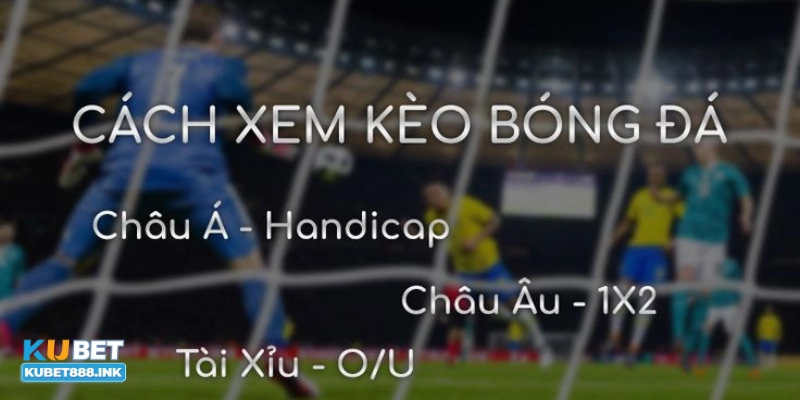 Tỷ lệ kèo Châu Á và cách tính toán chính xác