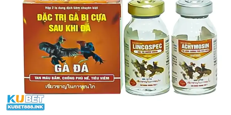 Cách sử dụng thuốc hỗ trợ gà đá