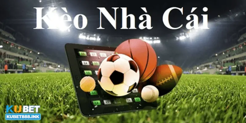 Kubet - Cổng game cá cược đáng tin cậy