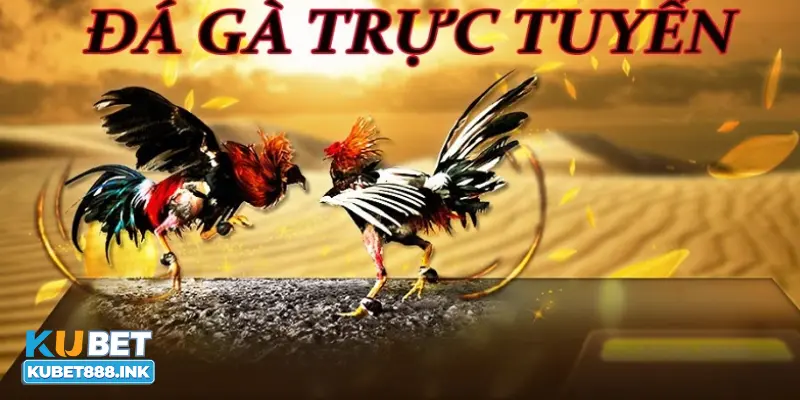 Nguồn gốc của game đá gà philippines từ đâu?