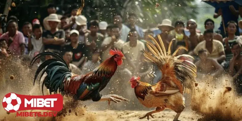 Khoảnh khắc nghẹt thở từng giây trong trận đấu 24 tỷ